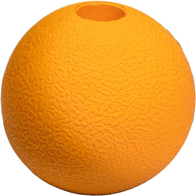 Amazon Basics Dog Toys, Interactive Fetch Rubber Balls, (Pack of 2), 3 inch, Blue, Orange