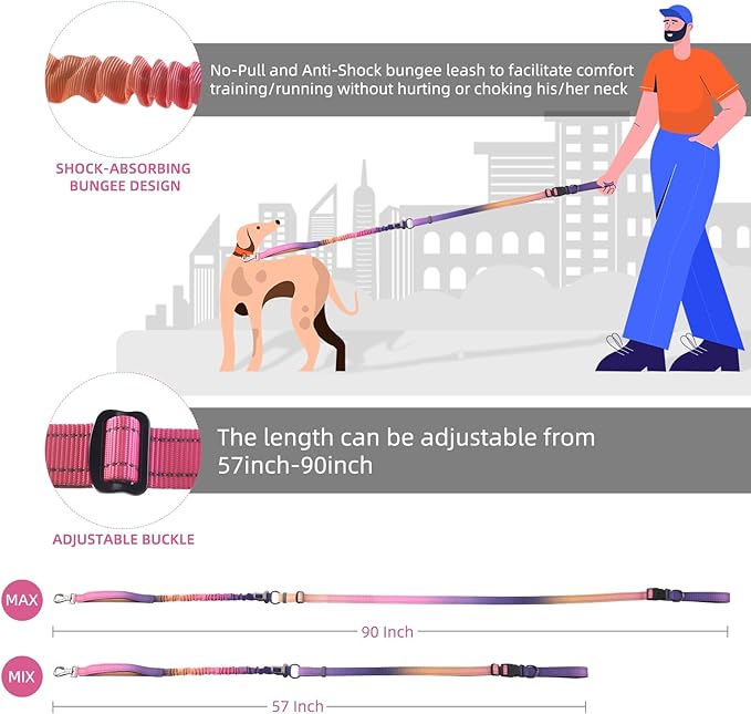 Roses&Poetry Hands Free Dog Leash for Medium Large Dogs Heavy Duty, No Pull Bungee Dog Running Waist Leash for Walking Training with Car Seatbelt 4-6FT