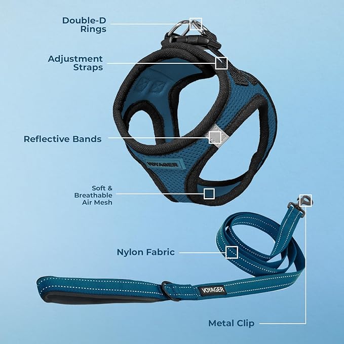 Voyager Step-in Air All Weather Mesh Harness and Reflective Dog 5 ft Leash Combo with Neoprene Handle, for Small, Medium and Large Breed Puppies by Best Pet Supplies - Blue/Black Trim, X-Small