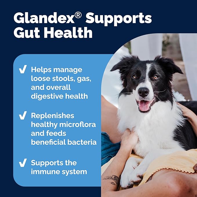 Vetnique Glandex Daily Probiotics for Dogs with Prebiotics to Support Gut Health with Fiber and Digestive Enzymes, Probiotic Chews or Powders (120ct Chews, Bacon Chews)