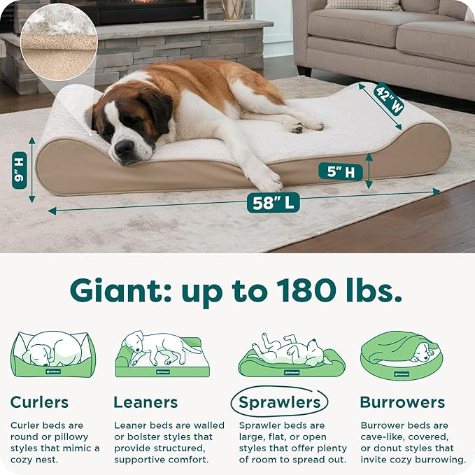 Furhaven Orthopedic Dog Bed for Extra Large Dogs w/ Removable Washable Cover, For Dogs Up to 180 lbs - Ultra Plush Faux Fur & Suede Luxe Lounger Contour Mattress - Cream, Giant/XXXL