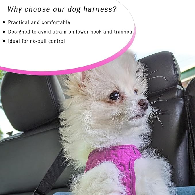 Comfort fit Step-in Dog & Puppy Harness - Comfortable All Weather Dog Vest Harness: Adjustable, Soft Padded, Easy to Put-on for Small, Medium-Sized Dogs (Plush Both Side Velvet)
