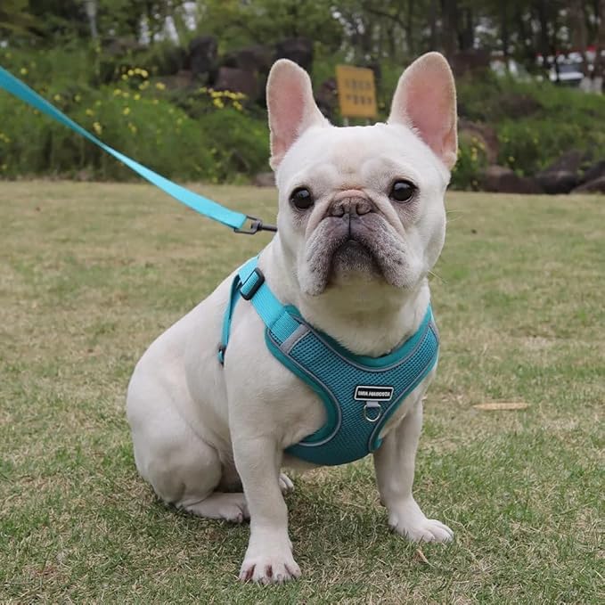 Dog Harness and Leash Set, Adjustable Triangle, Reflective Adjustable Puppy Vest, No Pull Soft Mesh Harness for Small, Medium Dogs, Cats (Turquoise, XL)