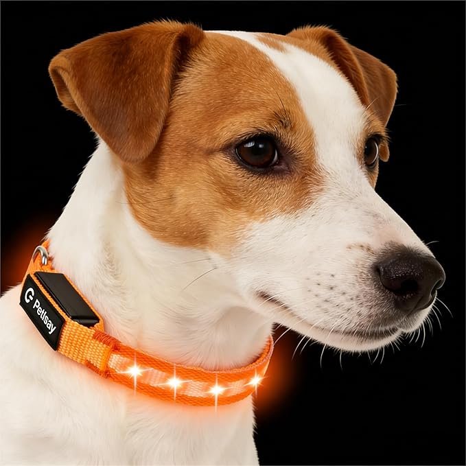 LED Dog Collar for Small Dogs Cats - Fully Waterproof & Adjustable Glow Collar - USB-C Rechargeable for Night Walking, Safety - Flashing Lighted Collar for Dogs(Orange,S)