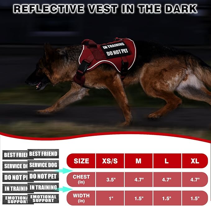 WINSEE Service Dog in Training Mesh Harness with 10 Pet Patches, Soft Air Mesh Breathable Tactical Dog Molle Vest, Reflective Military Pet Vest for Walking Hiking for Large Dogs