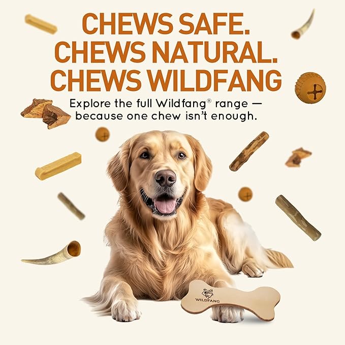 Wildfang® Leather Dog Toy, Medium - Leather Bone for Teething Dog, Dental Toys for Puppies, Training for Chewing Muscles, Puppy Chew Bones for Light or Medium Chewers (for Dogs 22-33 lbs), Pack of 3