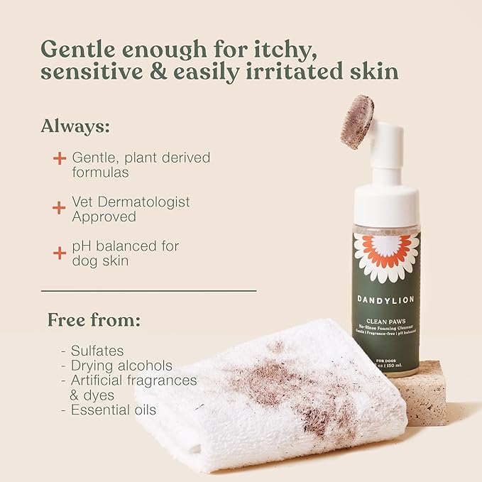 Dandylion Daily Grooming Kit - Clean Paws + Fresh Coat Bundle – No‑Rinse Paw Cleaner & Waterless Coat Spray