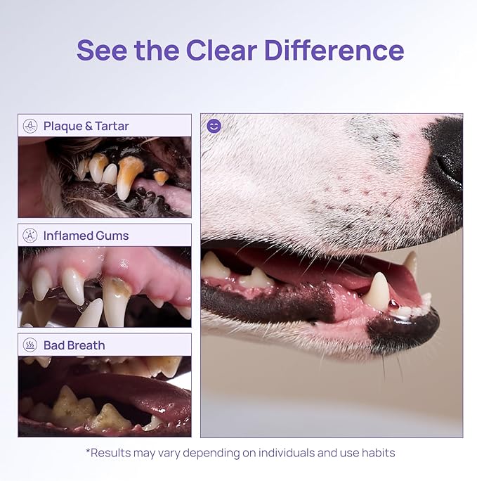 HICC PET Teeth Cleaning Gel for Dogs and Cats, Vet-Recommended Dog Dental Care Toothpaste Alternative for Breath Freshener, Prevent Infection, Plaque & Tartar Remover, Support Gum Health, 2 Fl Oz