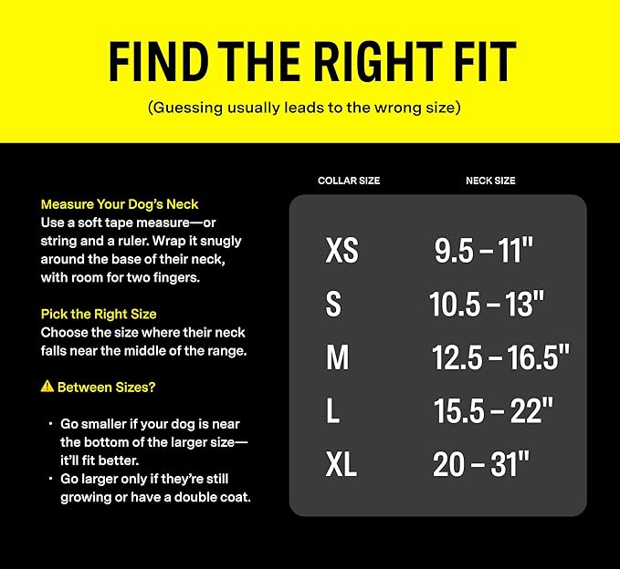 Fi Series 3 Smart Dog Tracker Collar – 6 Month Membership Included (Yellow, Small)