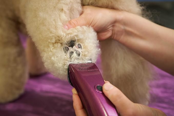 Wahl Professional Animal Bravura Pet, Dog, Cat, and Horse Corded/Cordless Clipper Kit, Purple (#41870-0423)