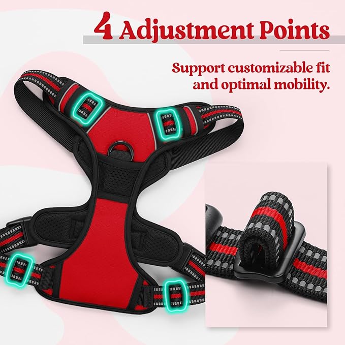 rabbitgoo Dog Harness No Pull with 2 Leash Clips, Adjustable Soft Padded, Reflective Oxford No Choke Pet Vest with Easy Control Handle for Small Dogs, Red, S
