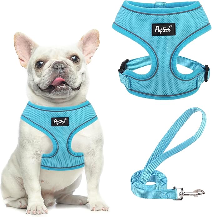 PUPTECK Soft Mesh Dog Harness and Leash Set Pet Puppy Cat Comfort Padded Vest No Pull Harnesses, Solid LightBlue, M