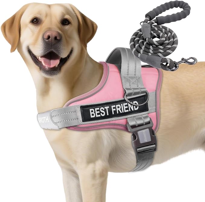AUROTH Dog Harness and Leash Set, Soft Padded Dog Vest with 5.25FT Dog Leash, No Choke, Easy On Pet Vest, Adjustable Reflective No Pull Dog Harness for Large Dogs, Easy Walking and Training