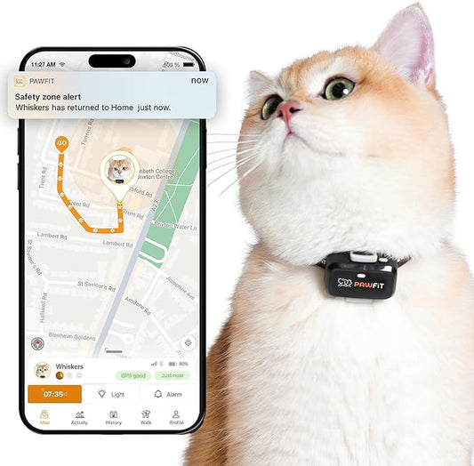 Pawfit Lite for Cats 4g GPS Tracker | Real Time Tracking | Activity Monitoring |Location History | Unlimited Range | Safety Collar Included | Onyx Black