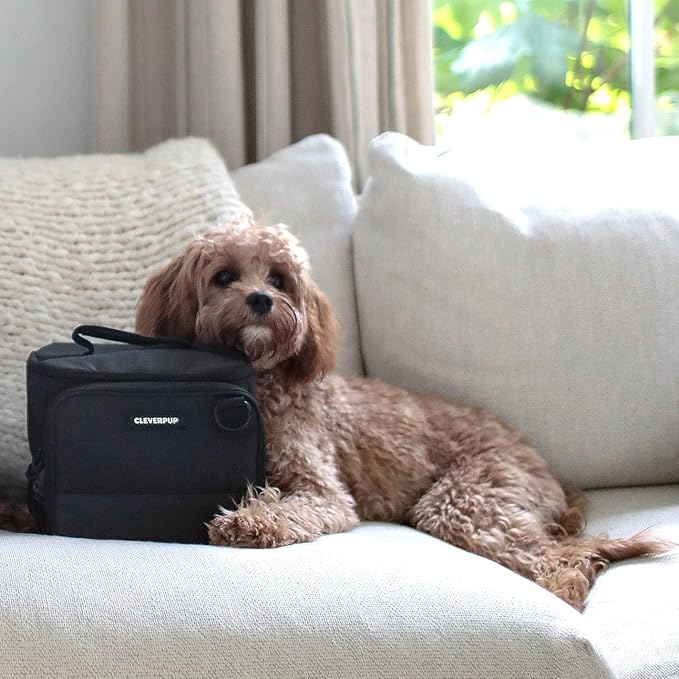 Small 7-Piece Bistro Box Dog Food Travel Kit, 6-Cup Kibble Storage, 2 Silicone Bowls, Mat & Scoop - Premium Portable Pet Food Kit for Weekends, Overnights, Daycare & Camping, Graphite