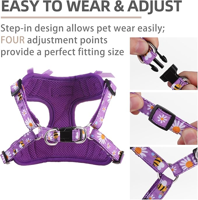 PUPTECK Dog Harness and Leash Set Small Sized, Step in No Pull Adjustable Puppy Cat Harness Reflective Pet Vest