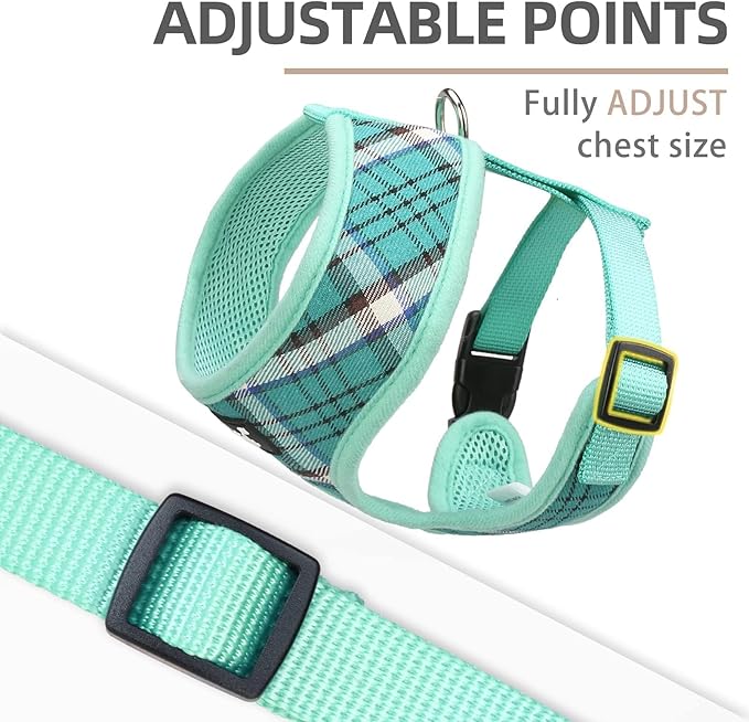 PUPTECK Soft Mesh Dog Harness and Leash Set Pet Puppy Cat Comfort Padded Vest No Pull Harnesses, Green, S