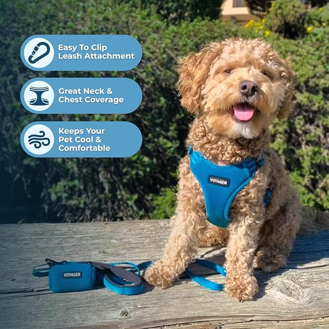Best Pet Supplies Voyager Mesh Dog Breathable Harness Reflective Stitching, All Weather Adjustable for Walking Training, or Running - Heavy Duty & Durable, Harness Leash Set (Turquoise), S