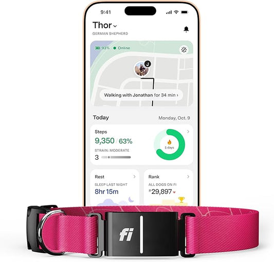 New Fi Series 3+ Smart Dog Collar - GPS Dog Tracker and Activity & New Fitness Monitor, Waterproof, LED Light, Escape Alerts, Nationwide Coverage [Free 6 Month Membership] (Pink, Large)