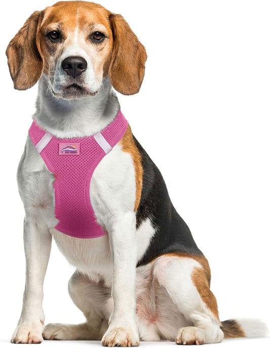 Doggie Design Dog Harness - No Choke Dog Harness, Dog Vest, Mesh Polyester, Pet Harness, Simple Step in and Go Design, Harness for Dog - Candy Pink, XL