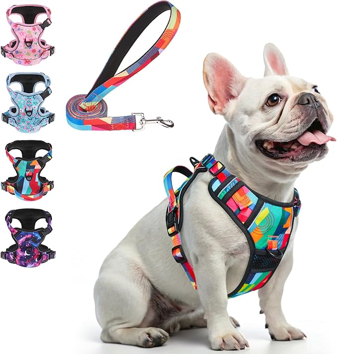 BEAUTYZOO No Pull Dog Harness Small, Adjustable Dog Harness and Leash Set -Easy Wearing with 3 Buckles/Control Handle,No Choke Soft Padded Reflective Pet Vest for Training Walking Hiking, S