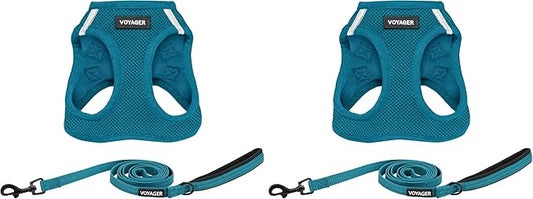 Voyager Step-in Air All Weather Mesh Harness and Reflective Dog 5 ft Leash Combo with Neoprene Handle, for Small, Medium and Large Breed Puppies by Best Pet Supplies - Leash Harness (Turquoise), XS