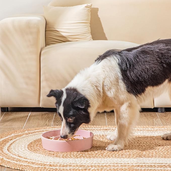 vancasso Slow Feeder Dog Bowl, 3 Cups Ceramic Slow Feeder for Large Breed, Puzzle Maze Dog Food Bowl for Fast Eater, Pink