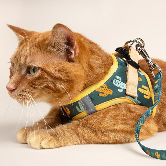 Lucy & Co. Looking Sharp Step-in Cat Harness & Leash Bundle – Reflective, Breathable & Adjustable Harness for Cats, Kittens & Small Dogs, Lightweight & Secure and Dual Leash Clips – Medium