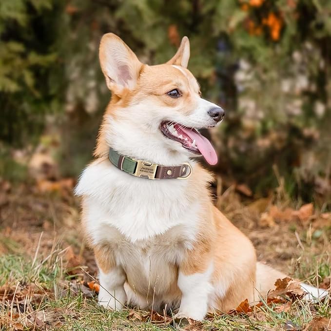 Personalized Dog Collars, Custom Soft PU Leather Dog Collar with Pet Name and Phone Number for Large Dogs, Adjustable and Durable Pet Collars with Quick Release Metal Buckle,L(15-23")