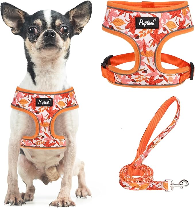 PUPTECK Soft Mesh Dog Harness and Leash Set Pet Puppy Cat Comfort Padded Vest No Pull Harnesses, Orange Leaf, S