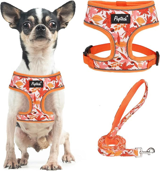 PUPTECK Soft Mesh Dog Harness and Leash Set Pet Puppy Cat Comfort Padded Vest No Pull Harnesses, Orange Leaf, S