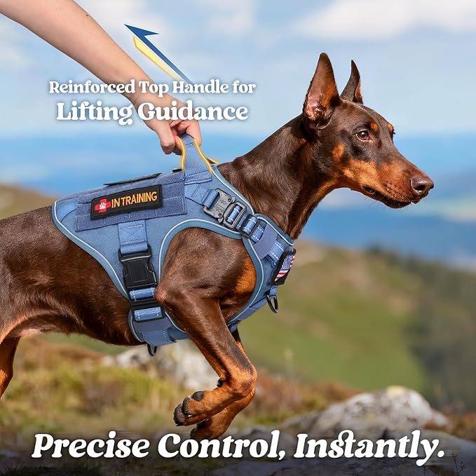 rabbitgoo Tactical Dog Harness for Large Dogs, No Pull Upgraded Reflective Heavy Duty Molle Vest with Handle, Adjustable Military Service Dog Vest for Walking Hiking Training, Blue, XL
