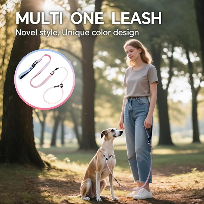 QQPETS Adjustable Slip Lead Dog Leash, Hands Free Waist Leash for Dog Walking, Reflective Training Lead with 360° Swivel Anti-Tangle, 4-7 ft Length for All Breeds