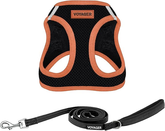 Voyager Step-in Air All Weather Mesh Harness and Reflective Dog 5 ft Leash Combo with Neoprene Handle, for Small, Medium and Large Breed Puppies by Best Pet Supplies - Black/Orange Trim, Large