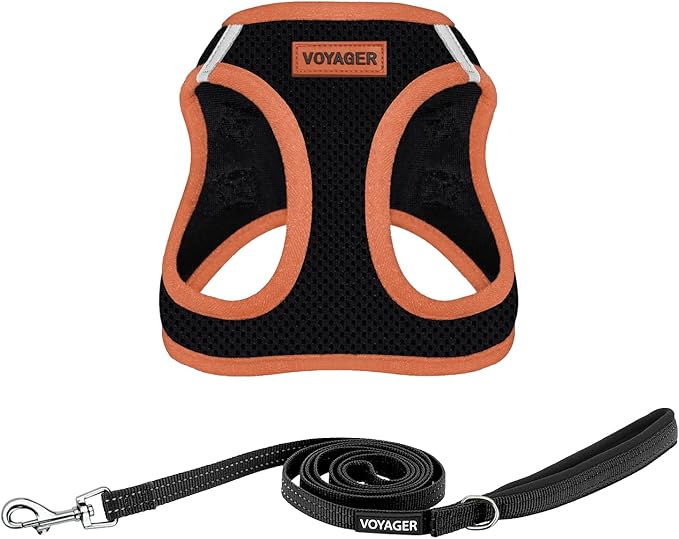 Voyager Step-in Air All Weather Mesh Harness and Reflective Dog 5 ft Leash Combo with Neoprene Handle, for Small, Medium and Large Breed Puppies by Best Pet Supplies - Black/Orange Trim, Small