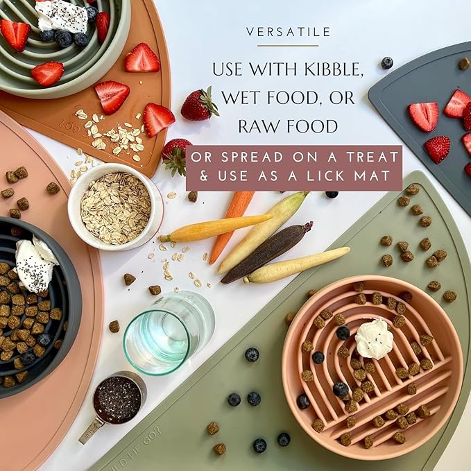 Should We Go? Slow Feeder for Dogs & Puppies, The Slowdown Bowl Silicone Slow Eating, Modern Lick Mat Design, Reduces Gulping, Fits 2.5 Cups, 9.5” Across x 1.5” Tall, Mealtime Challenge, Large-Blush