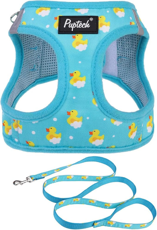 PUPTECK Dog Harness and Leash Set for Small Medium Dogs No Pull Step-in Soft Mesh Puppy Cat Vest Harnesses Reflective at Night, Blue Duck, S