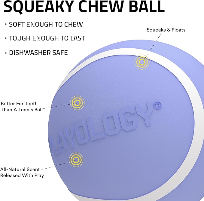 Playology Dog Toys | Squeaky Chew Ball - Bouncy Durable Floating Fetch Ball for Dogs | Jumbo Blueberry Scented Toy - Easy to Clean and Made from Non Toxic Materials