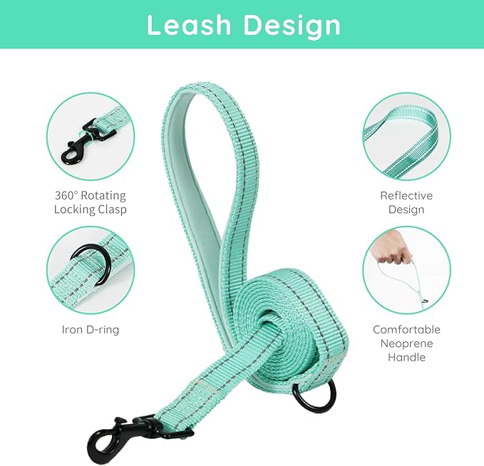 BELLA & PAL Step in Vest Harness for Small and Medium Dogs, No Pull Small Dog Harness with Leash Set, Comfortable Air Mesh Dog Vest Harness with Reflective Strip (Light Green, XS)
