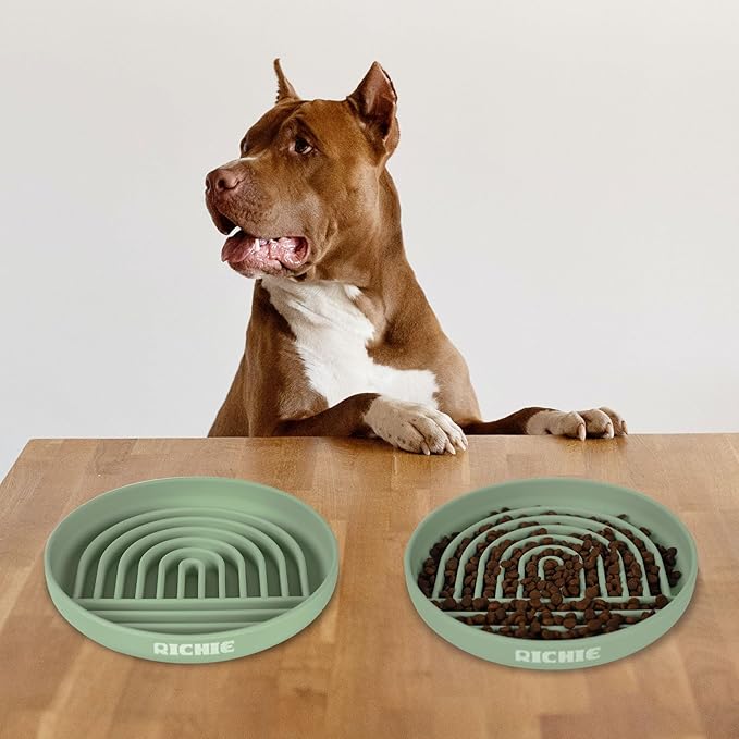 Slow Feeder Dog Bowls with Suction Cups, Silicone Puzzle Bowl for Slow Eating, Pets Slow Feeder Non-Slip Design Dishwasher Microwave Safe for Small Medium Dogs, Green