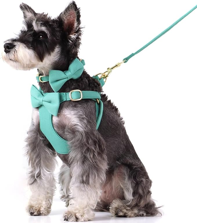 Beirui Adorable Small Dog Harness Collar and Leash Set,Cute Puppy Harness Set with 3 Bows for Small Dogs,Shih Tzu,Dachshund,Adjustable Step-in Vest for Daily Walking,Parties&Holiday Outfits(Teal,S)