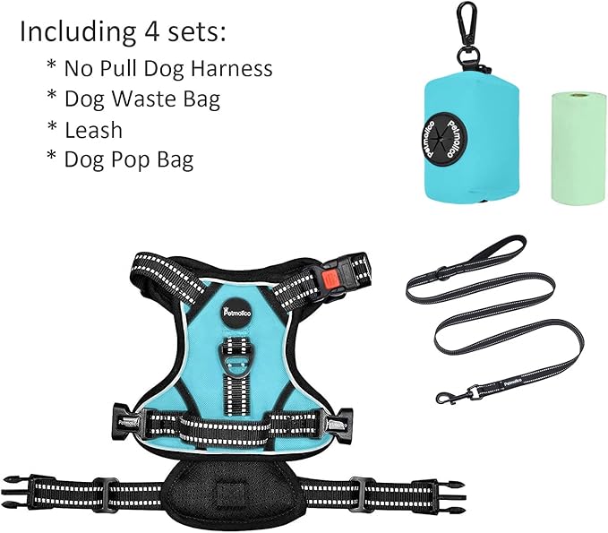 Petmolico No Pull Dog Harness Set with Leash Attachment Easy Control Handle Reflective Harness Vest Small Breed, Puppy Vest and Leash Set with Poop Bag Holder, Medium - Turquoise