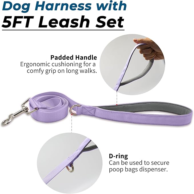 Escape Proof Dog Harness and Leash Set, Lightweight Dog Harness with Lift and Assist Handle, No Pull Reflective Pet Vest for Small Medium Dogs, Ideal for Puppy Walking and Training (Purple, S)