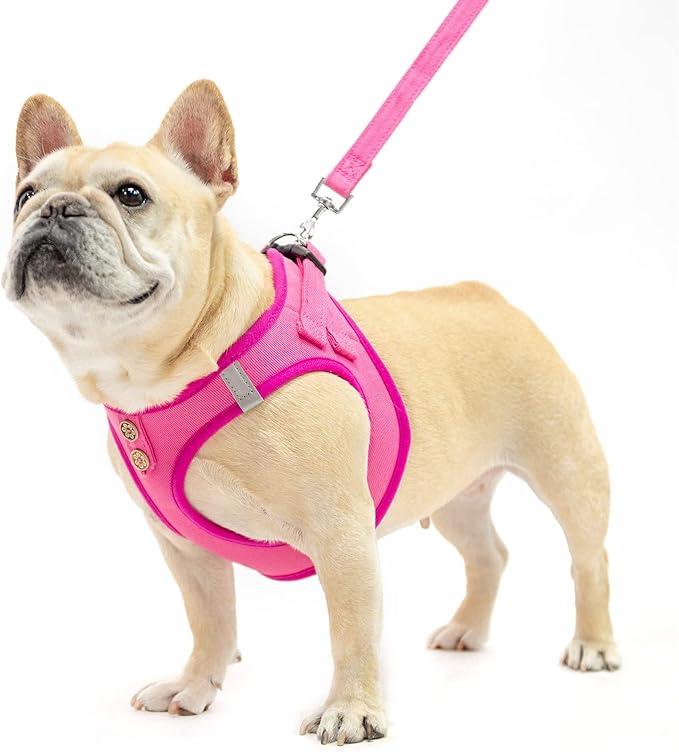 PUPTECK Dog Harness and Leash Set for Small Medium Dogs No Pull Step-in Soft Mesh Puppy Cat Vest Harnesses Reflective at Night, Denim Pink XS