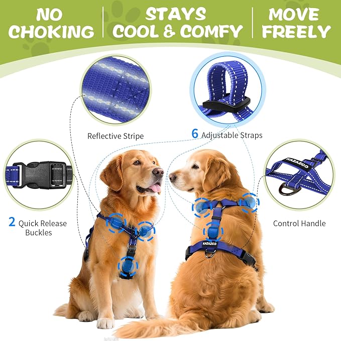 No-Pull Harness,Y-Shaped Design,Buckle-Neck Balance Harness with Reflective Stitching, Ideal for Dog Training and Night Walking, Padded Handle, Durable High-Tensile Nylon-Blue-XL