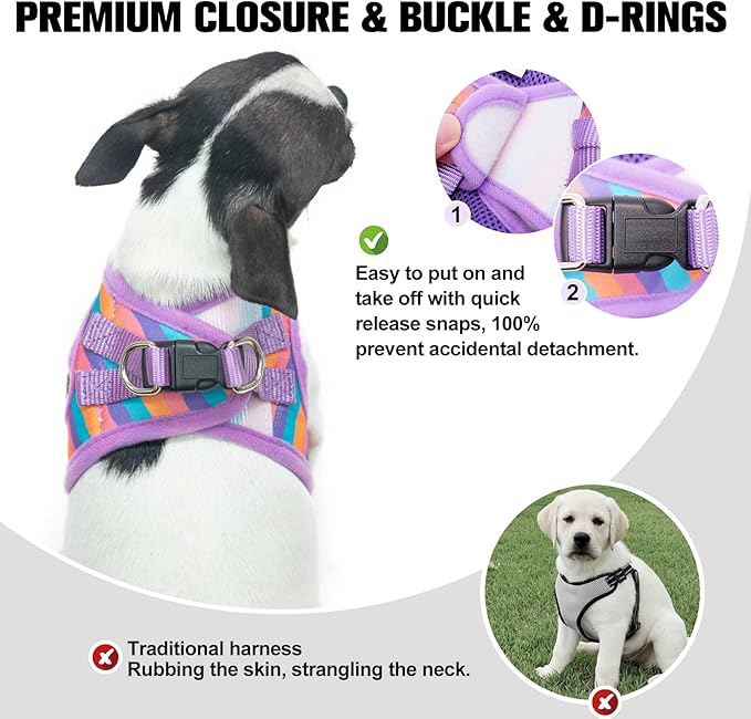 BEAUTYZOO Dog Harness and Leash Set for Small Dogs,No Pull Step-in Harness for Puppy XS S Sized Dogs and Cats,Air Mesh Adjustable Breathable Soft No Choke Escape Proof Vest Harness,Striped Purple XXS