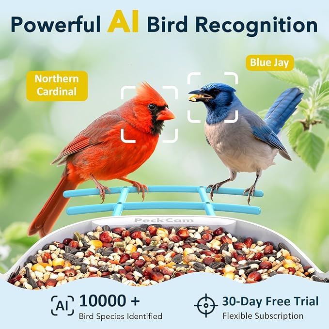 Smart Bird Feeder with Camera 2K Live Real-Time Alert AI Identify with 32G Card DIY Attachments Camera Bird Feeder Solar Powered Wireless Outdoor Birdwatching Gift for Birds Lover, Blue