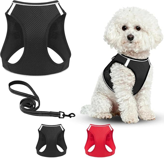 Dog Harness and Leash Set, No Pull Mesh Puppy Harness for Small Medium Sized Dogs, Pet Vest for Walking Running Training, Double D-Rings Reflective Strip