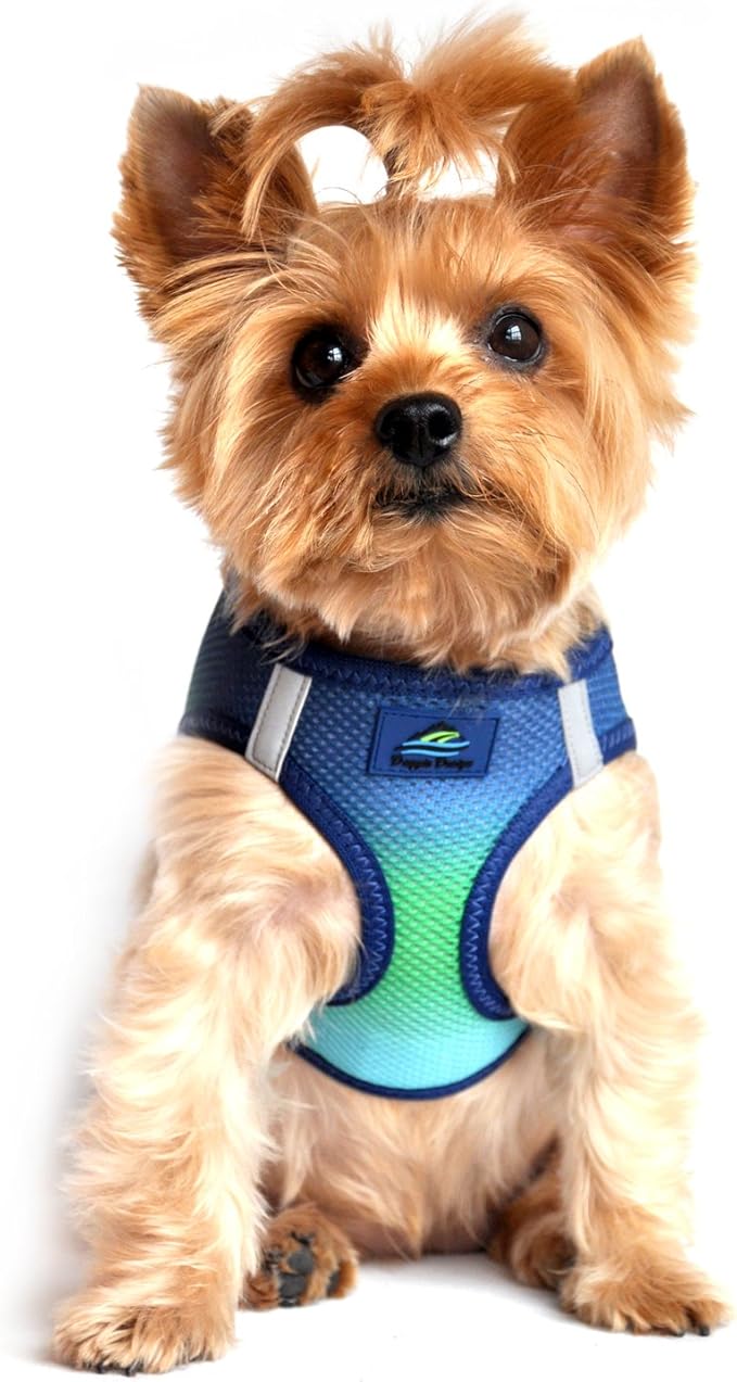 Doggie Design No Choke Dog Harness - Simple Step-in and Go Dog Vest for Small, Medium, and Large Breeds - Breathable Mesh Polyester Pet Harness - Northern Lights - XL