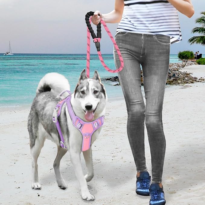 BARKBAY No Pull Dog Harness Large Reflective Dog Harness with Front Clip and Easy Control Handle for Walking Training Running with ID tag Pocket(Baby Pink & Violet Purple,M)